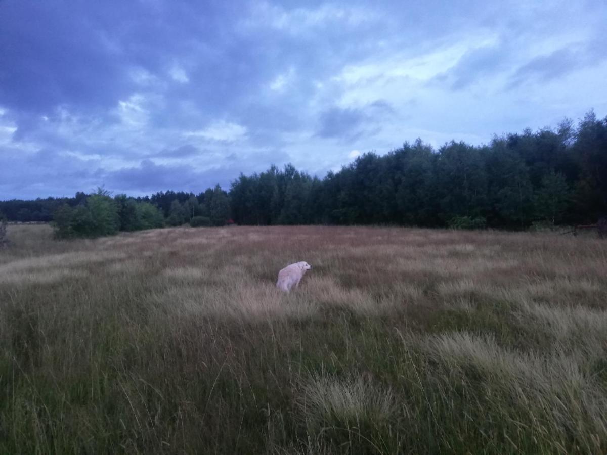 Wsród Pól i Lasów Dubicze Cerkiewne Exterior foto